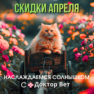 Наслаждаемся теплом с «Доктор Вет»!   